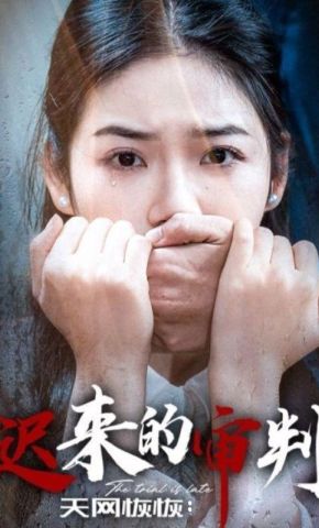 短剧《天网恢恢：迟来的审判》海报