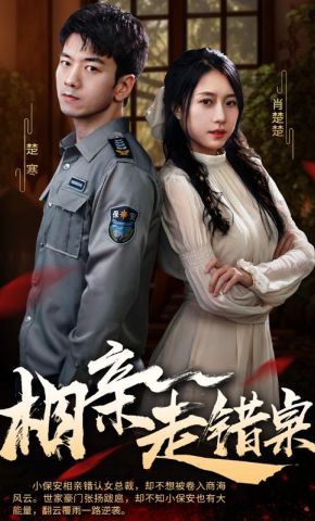短剧《相亲走错桌》海报