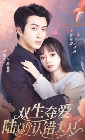 短剧《双生夺爱陆总你认错夫人了》海报
