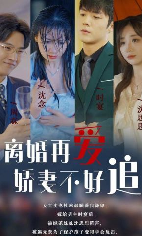 短剧《离婚再爱娇妻不好追》海报