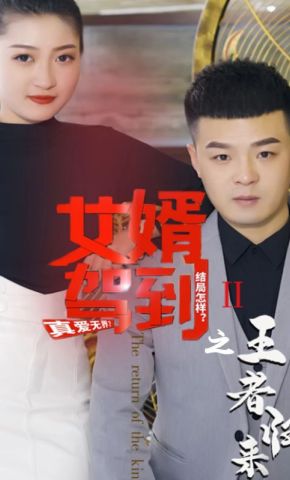 短剧《女婿驾到之王者归来》海报