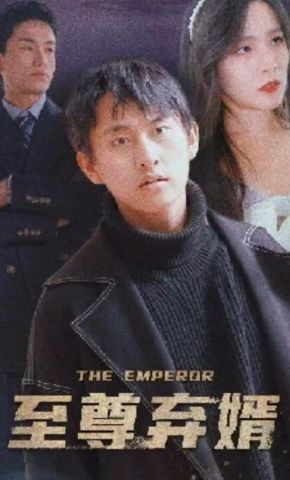 短剧《至尊弃婿》海报