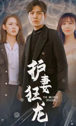 短剧《护妻狂龙》海报