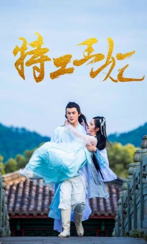 短剧《特工王妃》海报