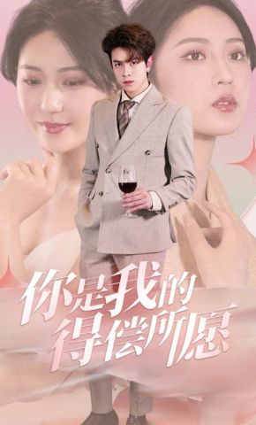 短剧《你是我的得偿所愿》海报