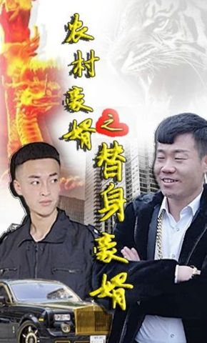 短剧《农村豪婿之替身豪婿》海报