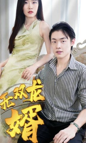 短剧《无双龙婿》海报