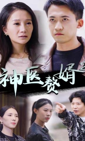 短剧《神医赘婿2》海报