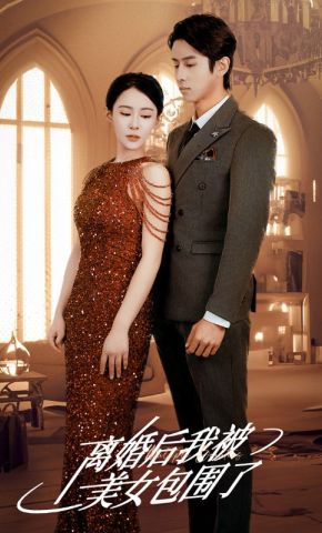 短剧《离婚后，我被美女包围了》海报