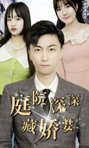短剧《庭院深深藏娇妻》海报
