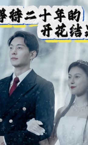 短剧《等待二十年的开花结果》海报