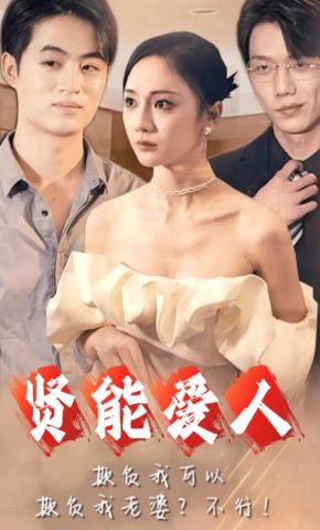 短剧《贤能爱人》海报