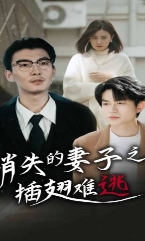 短剧《消失的妻子之插翅难逃》海报