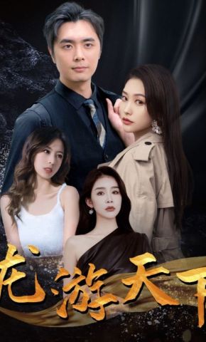 短剧《龙游天下》海报