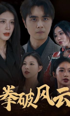 短剧《拳破风云》海报