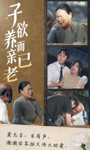 短剧《子欲养，而亲已老》海报