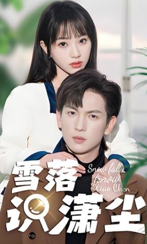 短剧《雪落识潇尘》海报