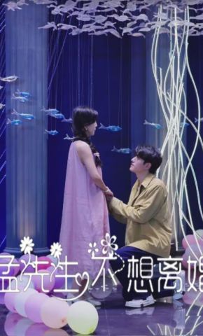 短剧《孟先生不想离婚》海报