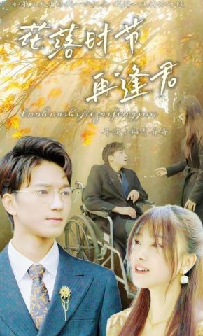 短剧《花落时节再逢君》海报