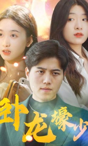 短剧《卧龙壕少》海报