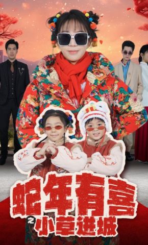 短剧《蛇年有喜之小草进城》海报