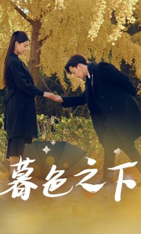 短剧《暮色之下》海报