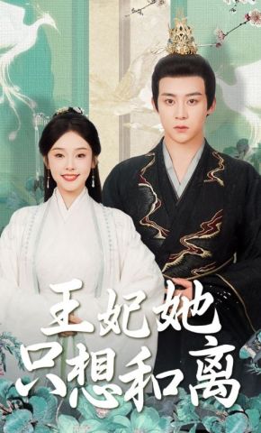 短剧《王妃她只想和离》海报