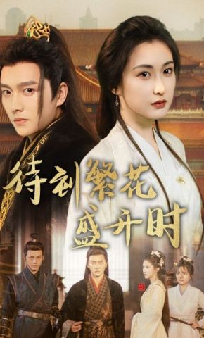 短剧《待到繁花盛开时》海报