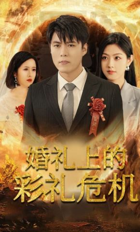 短剧《婚礼上的彩礼危机》海报