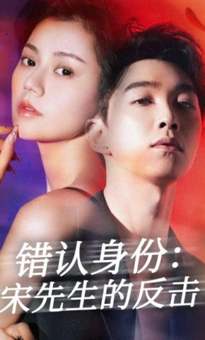 短剧《错认身份：宋先生的反击》海报