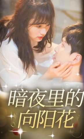 短剧《暗夜里的向阳花》海报