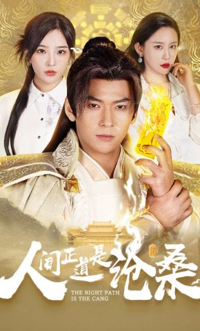 短剧《人间正道是沧桑》海报