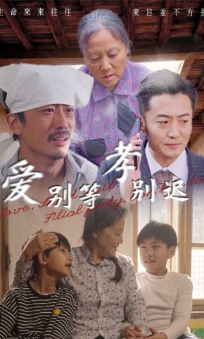短剧《爱别等，孝别迟》海报