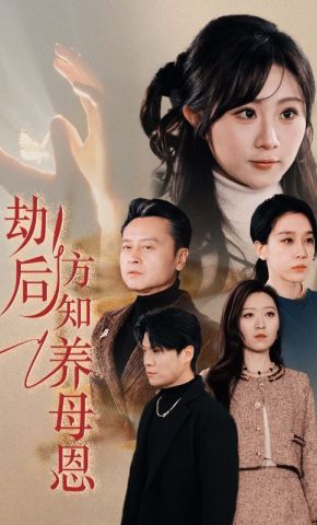 短剧《劫后方知养母恩》海报