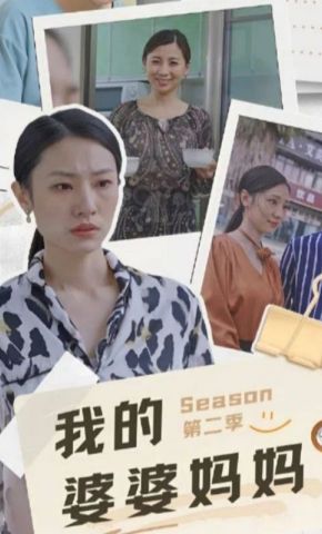 短剧《我的婆婆妈妈第二季》海报
