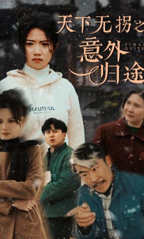 短剧《天下无拐之意外归途》海报