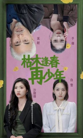 短剧《枯木逢春再少年》海报