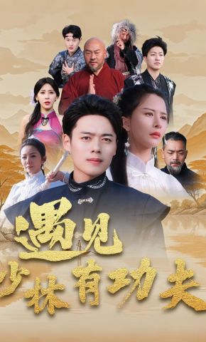 短剧《遇见少林有功夫》海报