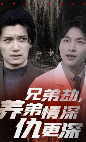短剧《兄弟劫，养弟情深仇更深》海报