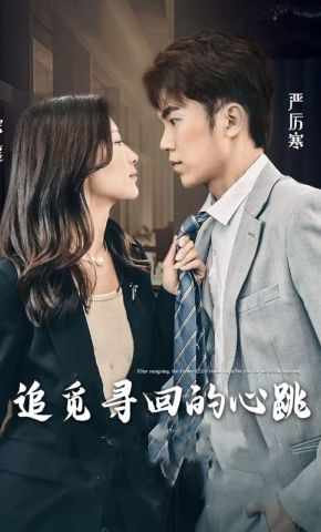 短剧《追觅寻回的心跳》海报