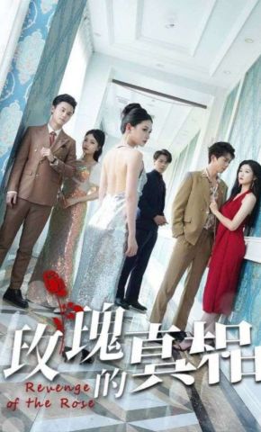 短剧《玫瑰的真相》海报