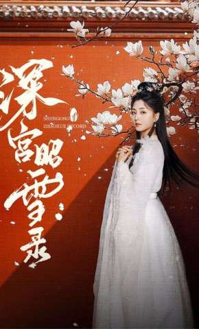 短剧《深宫昭雪录》海报