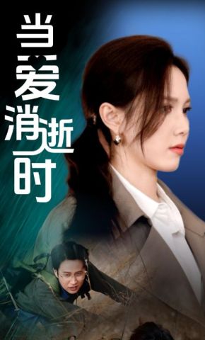 短剧《当爱消逝时》海报
