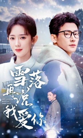 短剧《雪落再说我爱你》海报