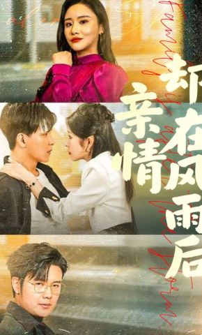 短剧《亲情却在风雨后》海报