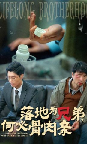 短剧《落地为兄弟，何必骨肉亲》海报
