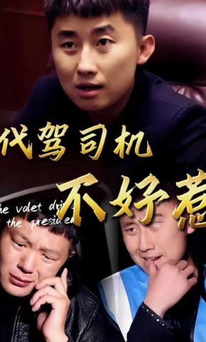 短剧《代驾司机不好惹》海报