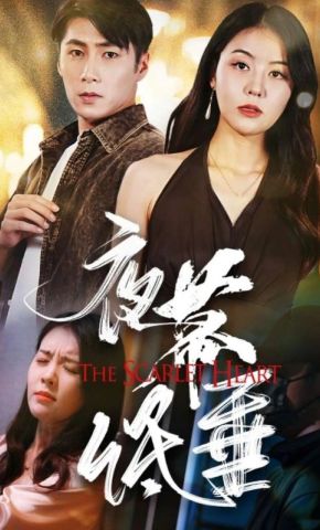短剧《夜幕低垂》海报