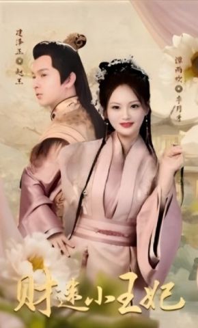 短剧《财迷小王妃》海报