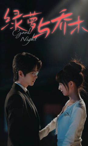 短剧《绿萝与乔木》海报